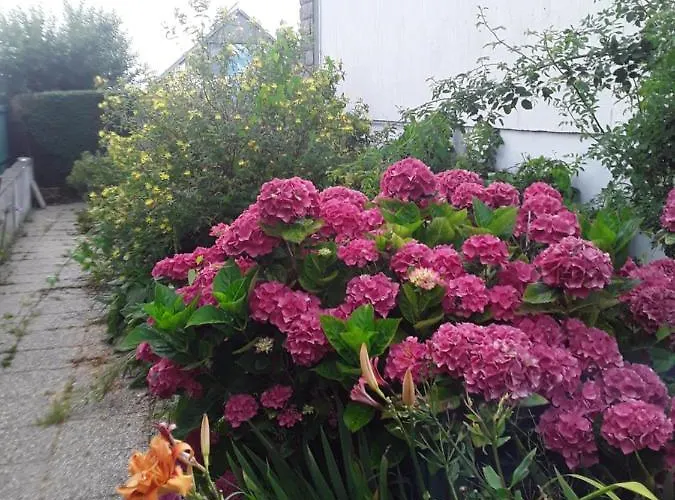 Grande Maison Vue Sur Holiday home